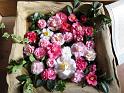 2014-03-08,_Kamelie (9)
